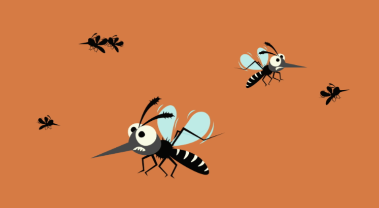 Animated:4q4rynjt1ha= Mosquito