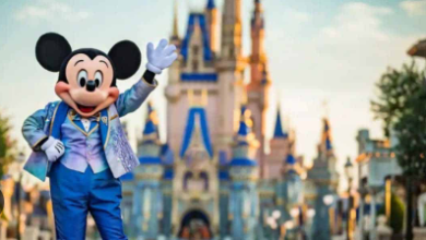 Dislyfeofours Net Worth: Insights Into the Earnings of the Disney Vloggers