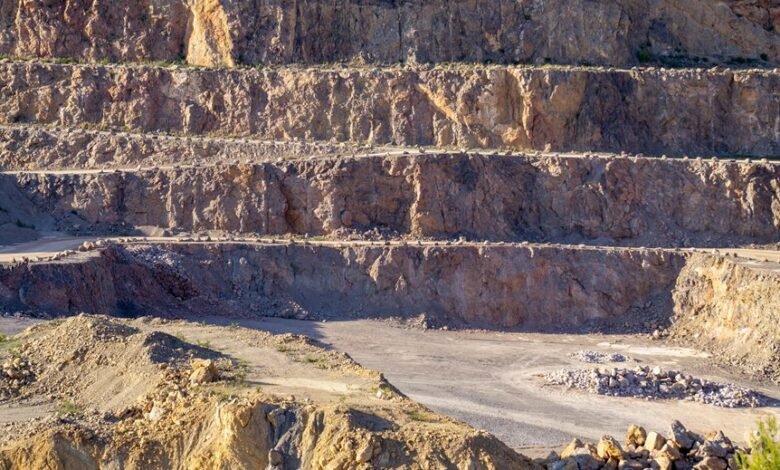 industry analysis and insights