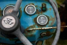 industry trends data analysis