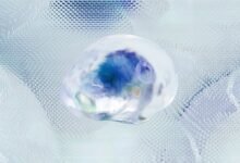 intelligence summary for ids