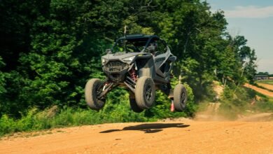 market analysis and trends